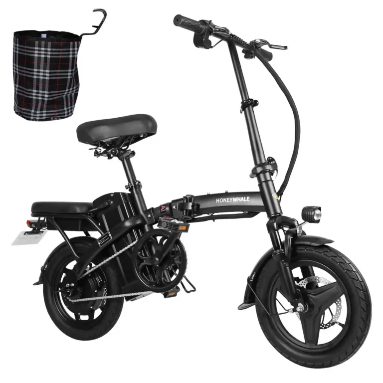 Honeywhale S6-s Bicicleta Elétrica Adulto, 750w-40km-35km/h-125kg
